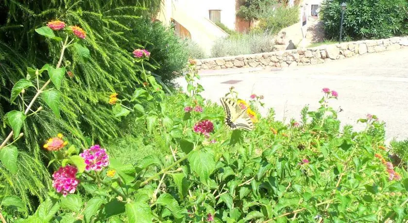 Saraceno Village Boschetto Holiday