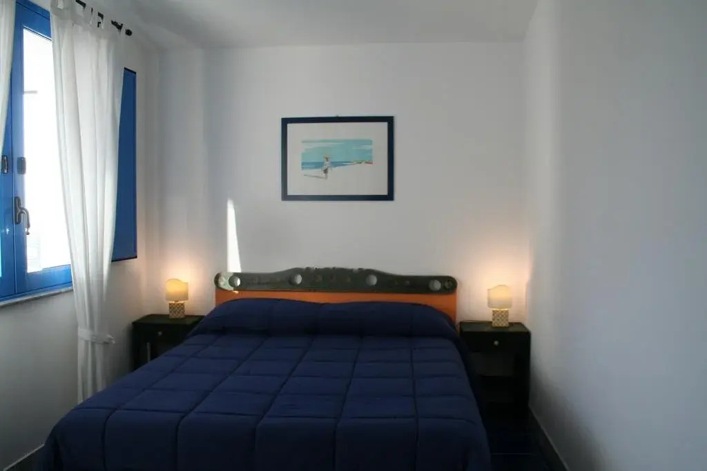 Avocado B&B Beyond