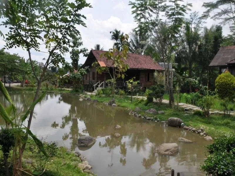The Pikas Resort