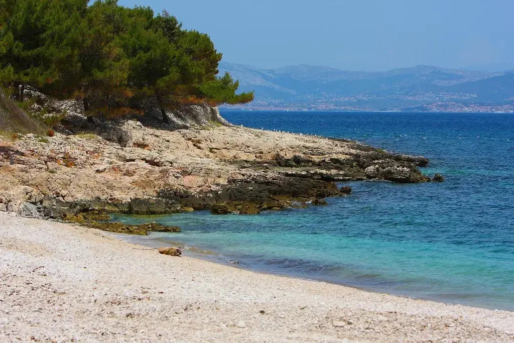 Holiday Home Olea - Sun, Sea, Sport & Comfort