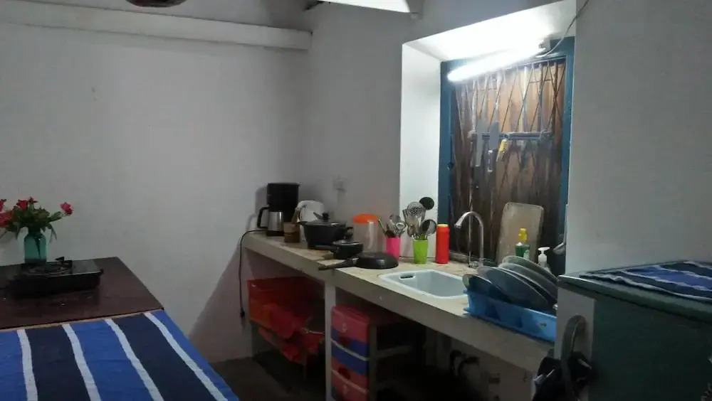 Jungle house