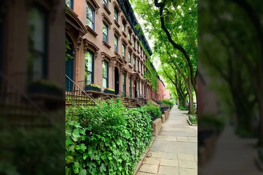 Adelphi II by Rove Travel 3BR Ft Greene w Deck
