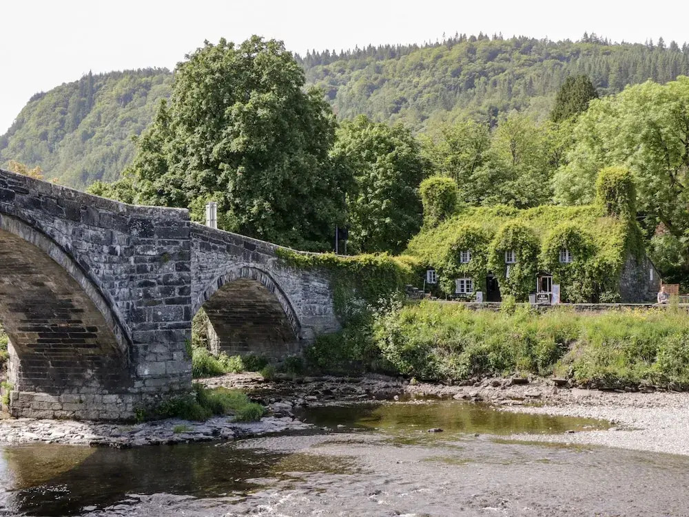 Bron Celyn Bach