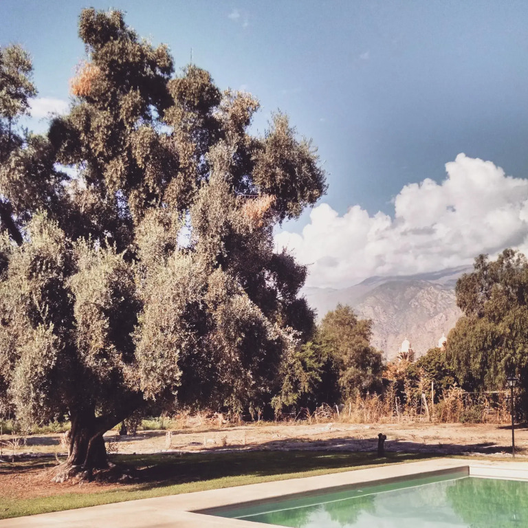 Vieja Posada Hotel Histórico
