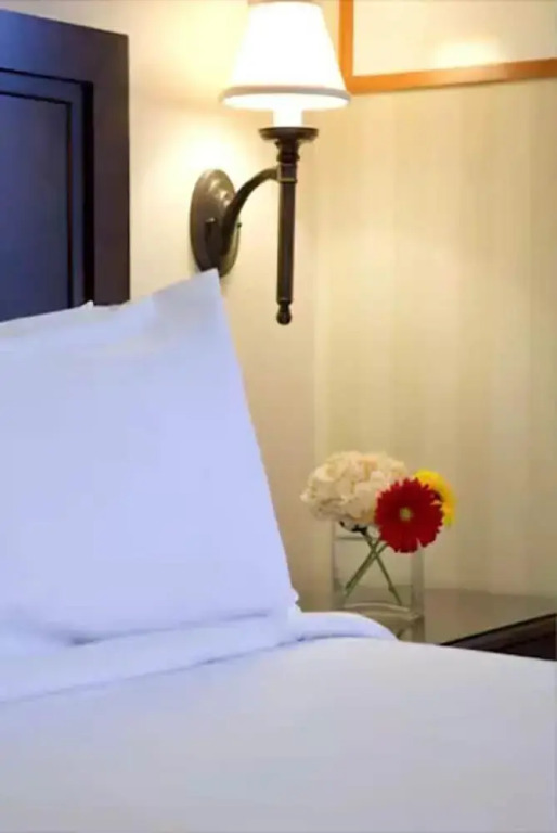 Starmax Citys Hotel YALOVA