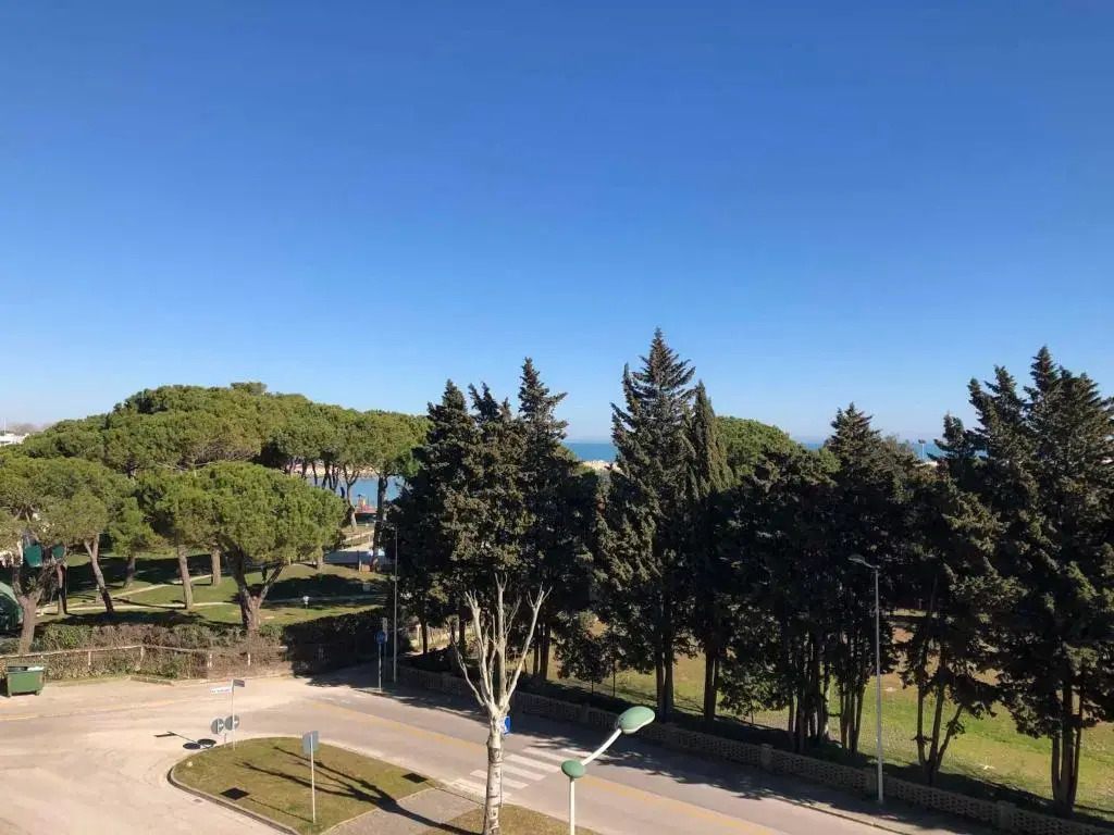 Apartment in Porto Santa Margherita 41991