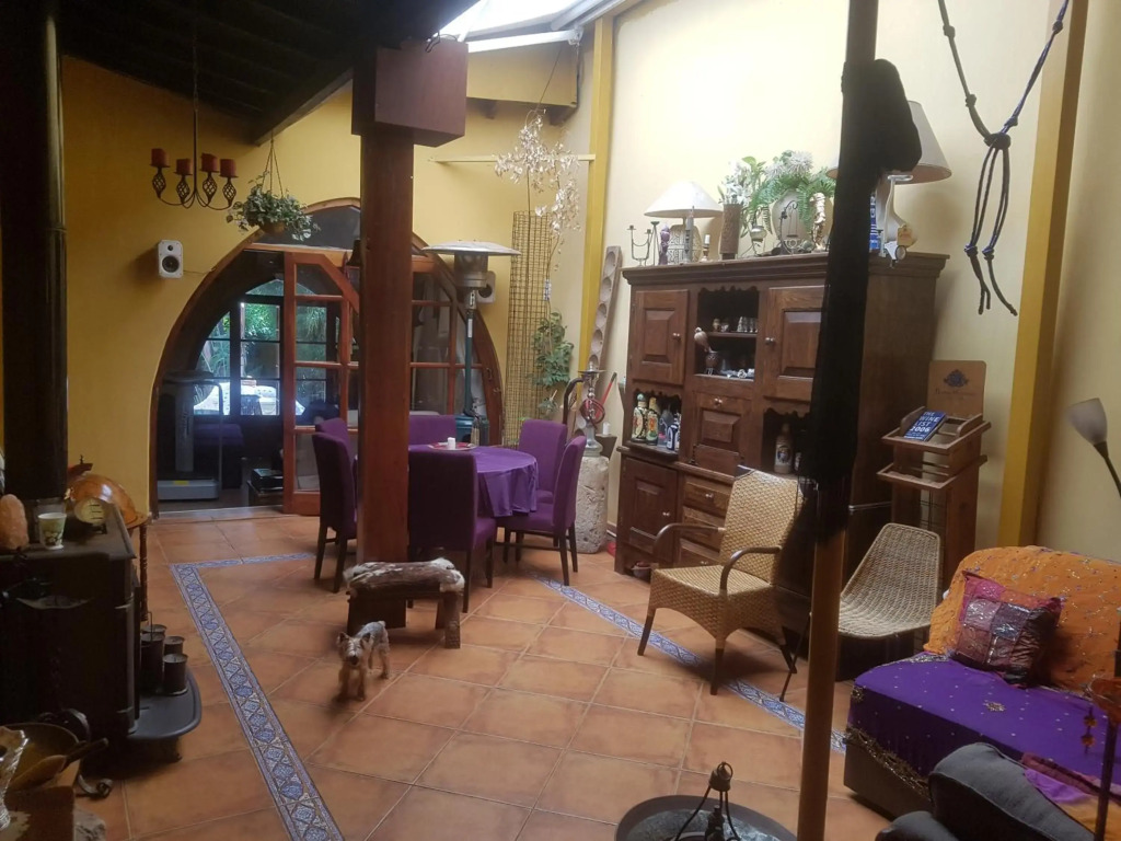 Sylvias Antique House
