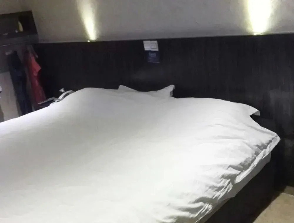 The Art Hotel