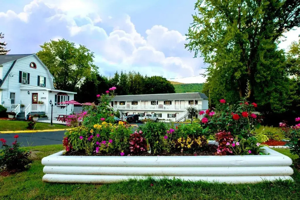 Willows Motel