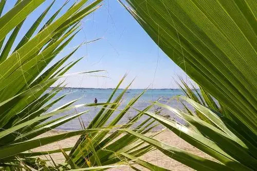 Vacanze per famiglie vicino al mare m515