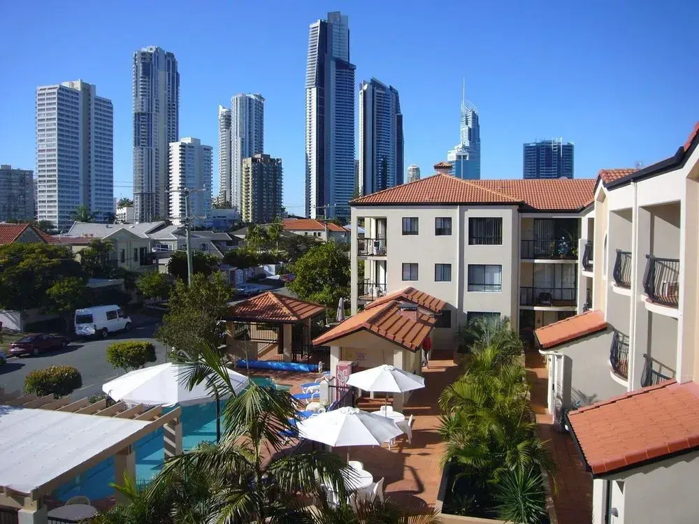 Chevron Palms