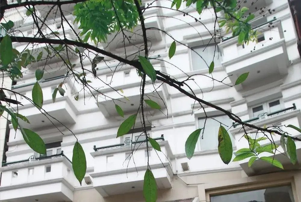 Medallion Hanoi Hotel