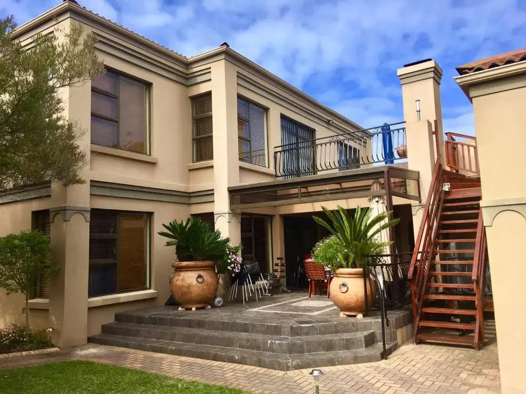 House Hibiscus
