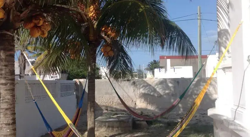 Zocalo Beach