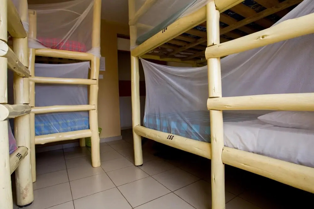 Bushpig Backpacker Hostel