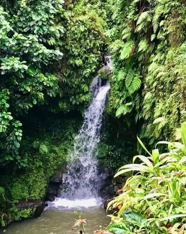 Ocean Oasis Hotel Dominica