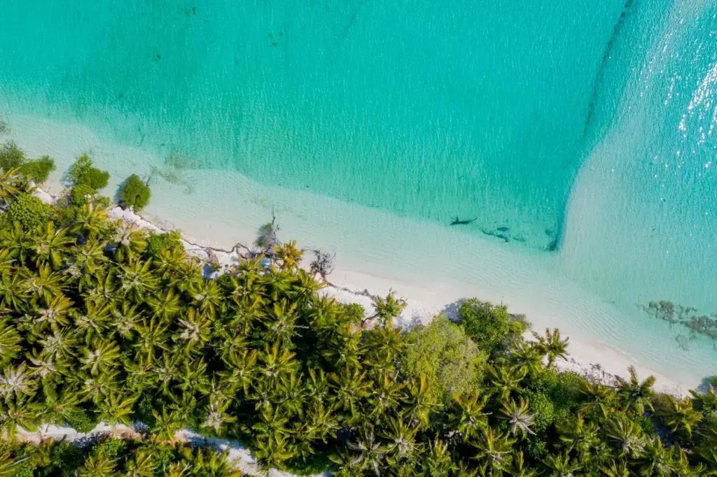 Fehendhoo Stay