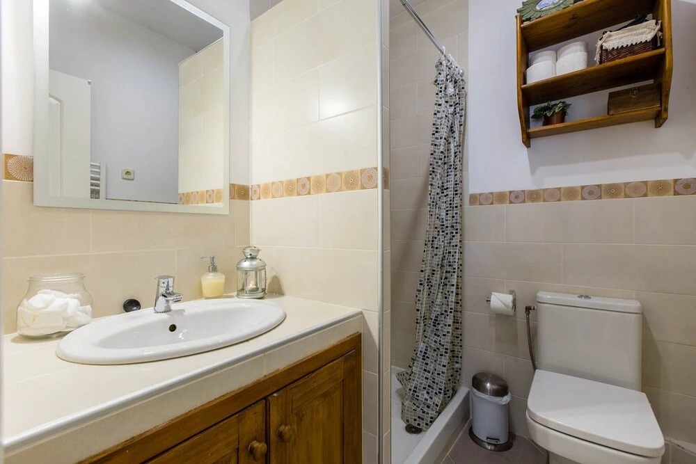 Apavonia Apartamento Madrid Centro Calle Toledo
