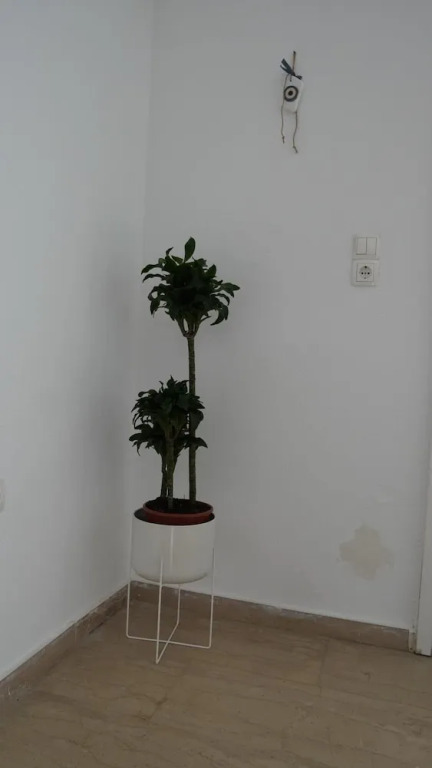 Pittas Studios Kardamena 300 Meters From the Beach