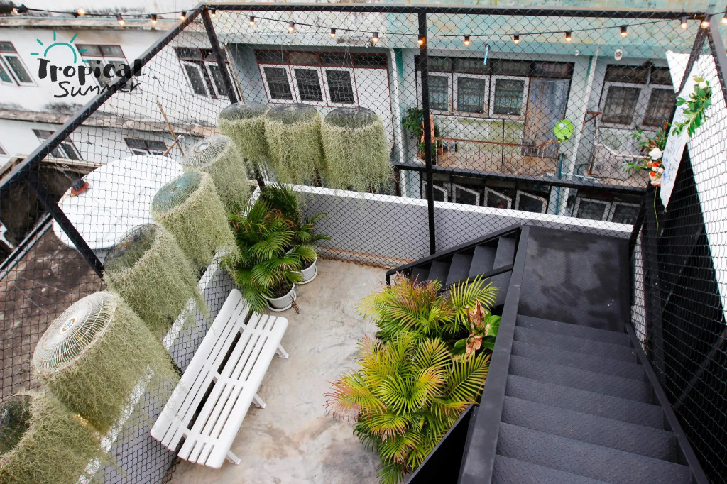 Tropical Summer Hostel