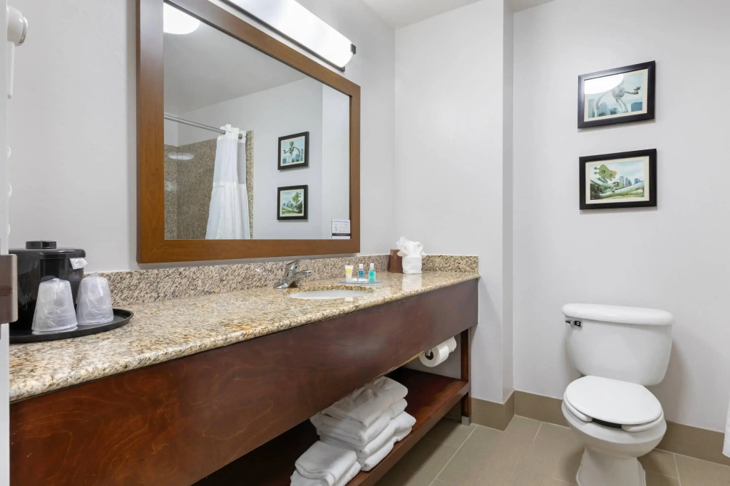 Comfort Suites DFW N-Grapevine