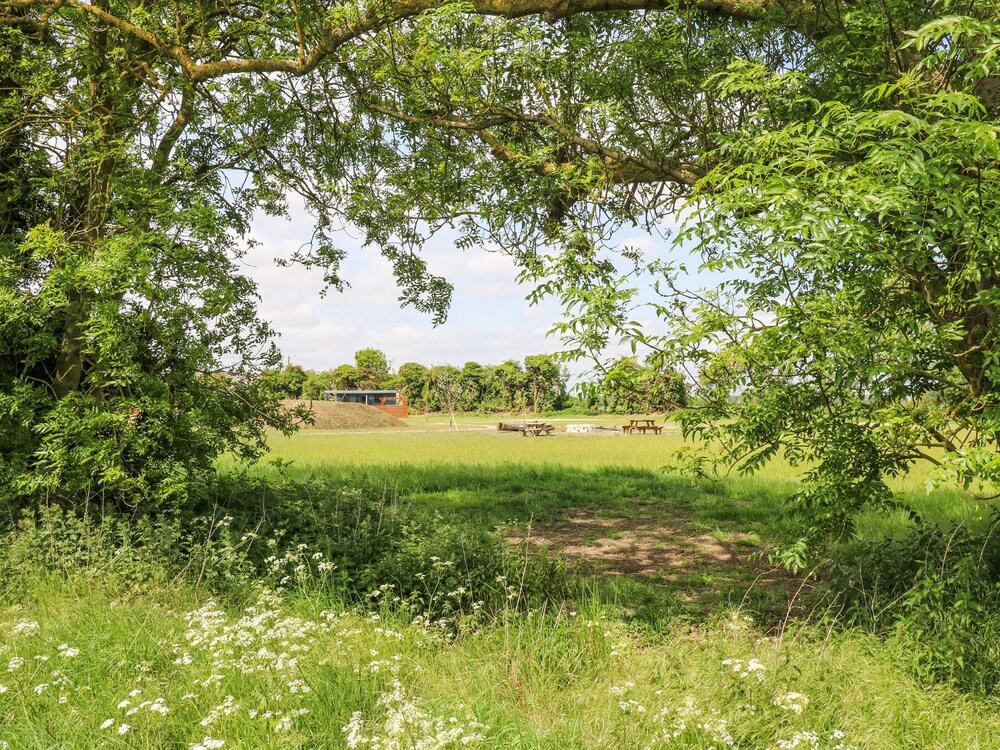 Woodpecker