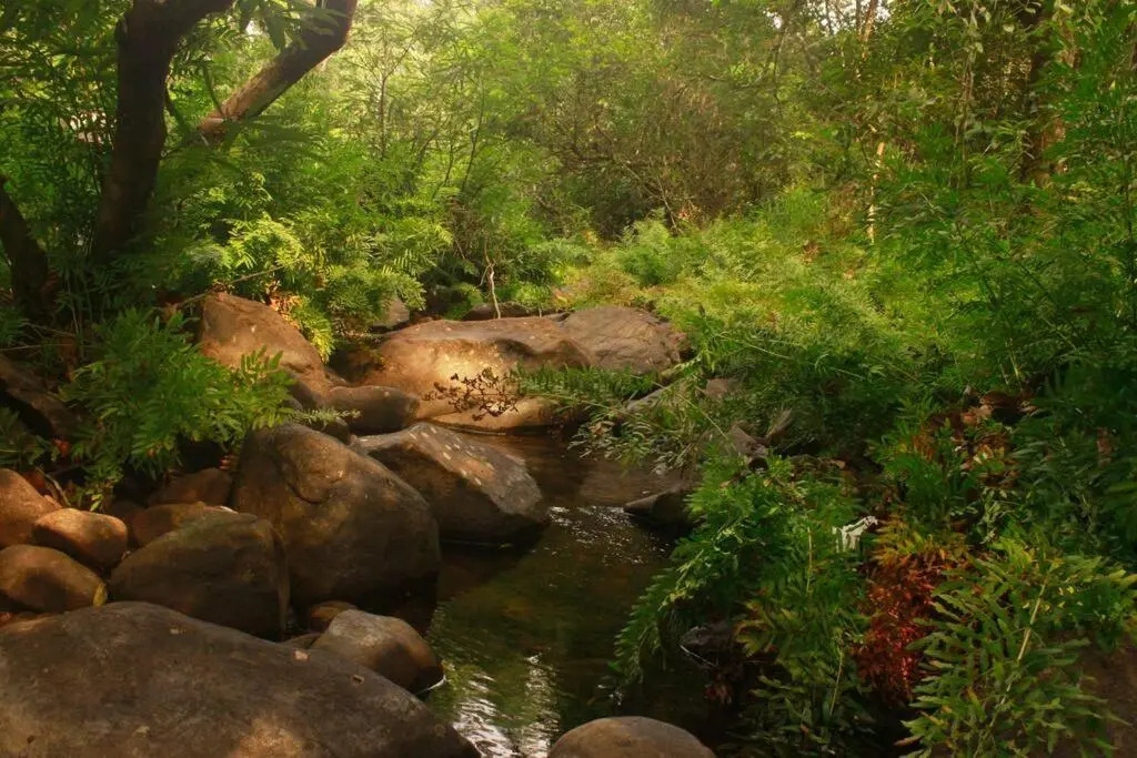 Thondar Homestays