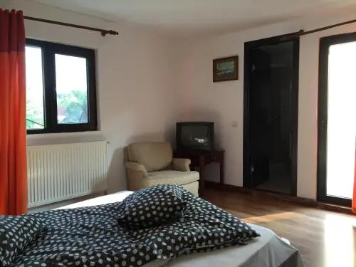 Casa Paltinu