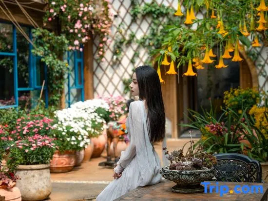 Ting Hua • Snow Mountain View Resort (Lijiang Ancient Town Branch)