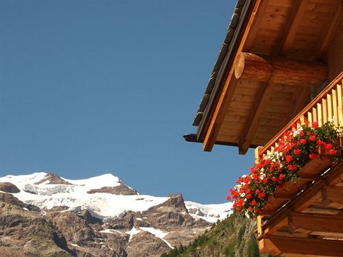 Ellex Eco Hotel