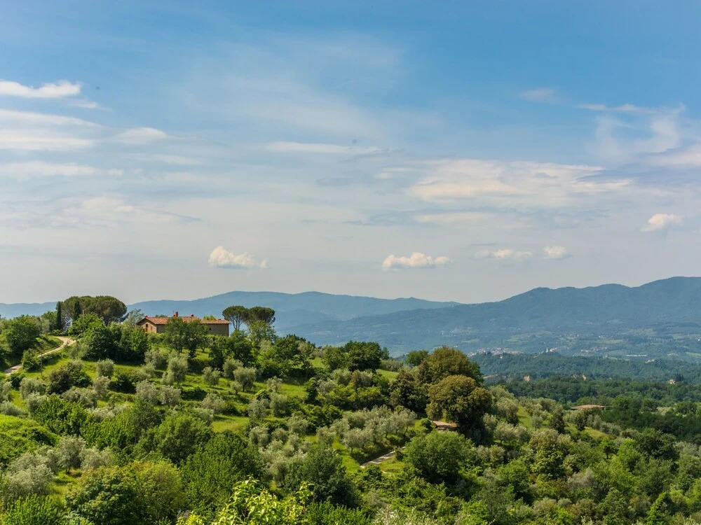 Attractive Apartment on Estate with Vineyards & Olive Grove near Florence