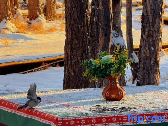 Hulunbergen River Reindeer Ji Homestay