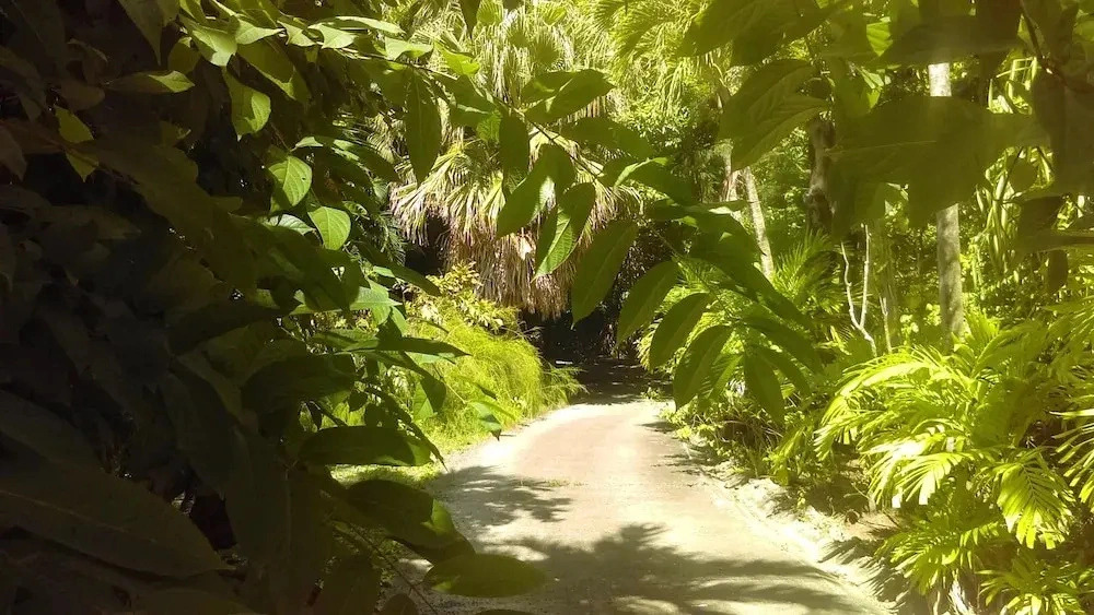 Property With One Bedroom In Pointe Noire With Enclosed Garden And Wifi 900M From The Beach