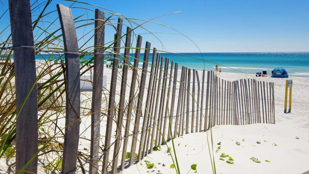 Serenity by the Sea! 4BR Retreat, Sleeps 12, Walk to Beach