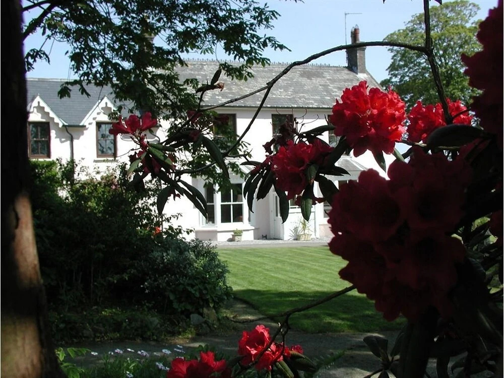 Cefn-y-Dre - B&B