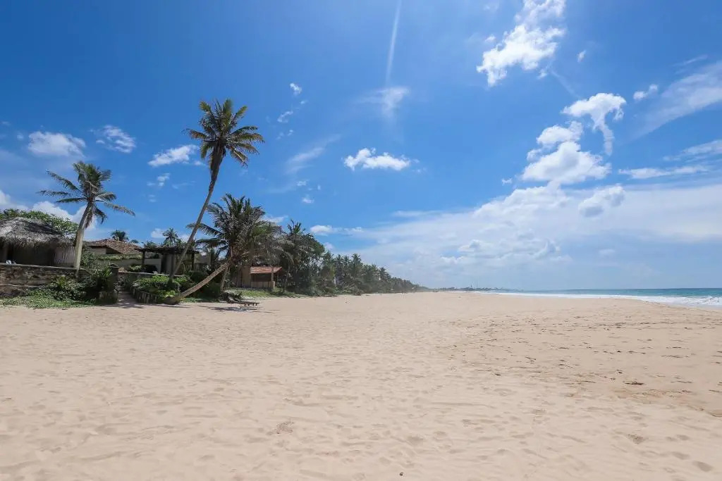 Bieshu Beach Hive