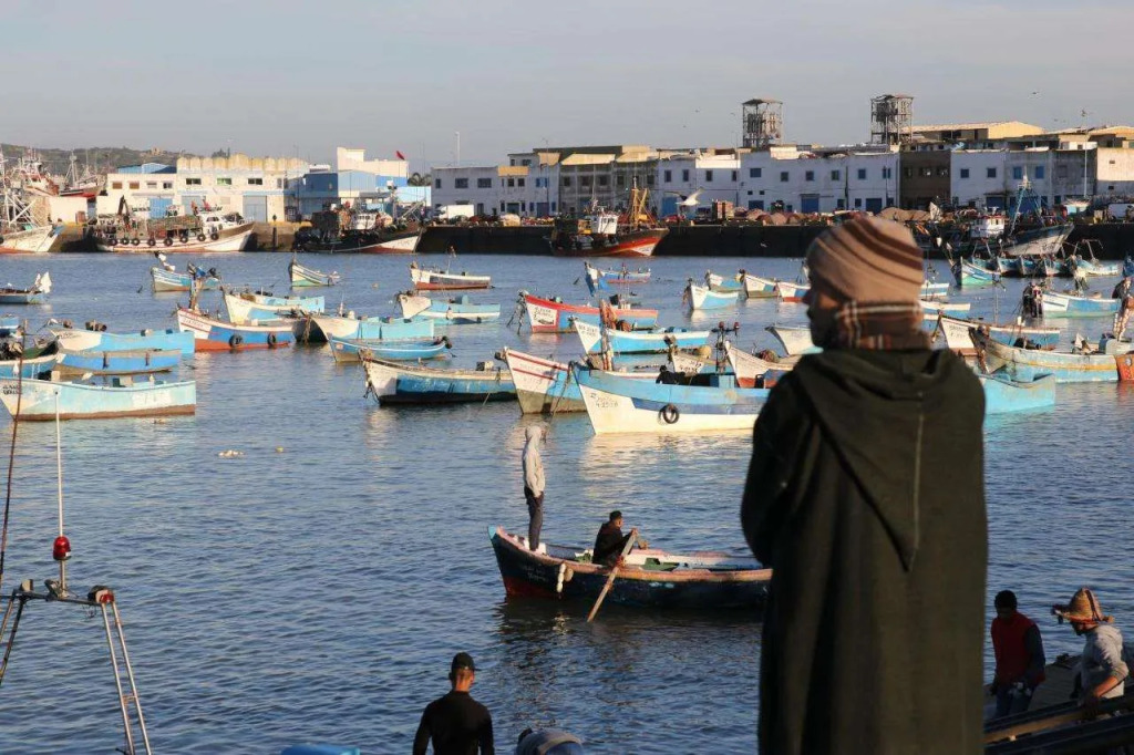 Sultana larache