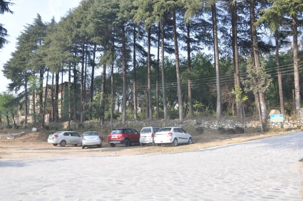 Hotel Devdar Resort
