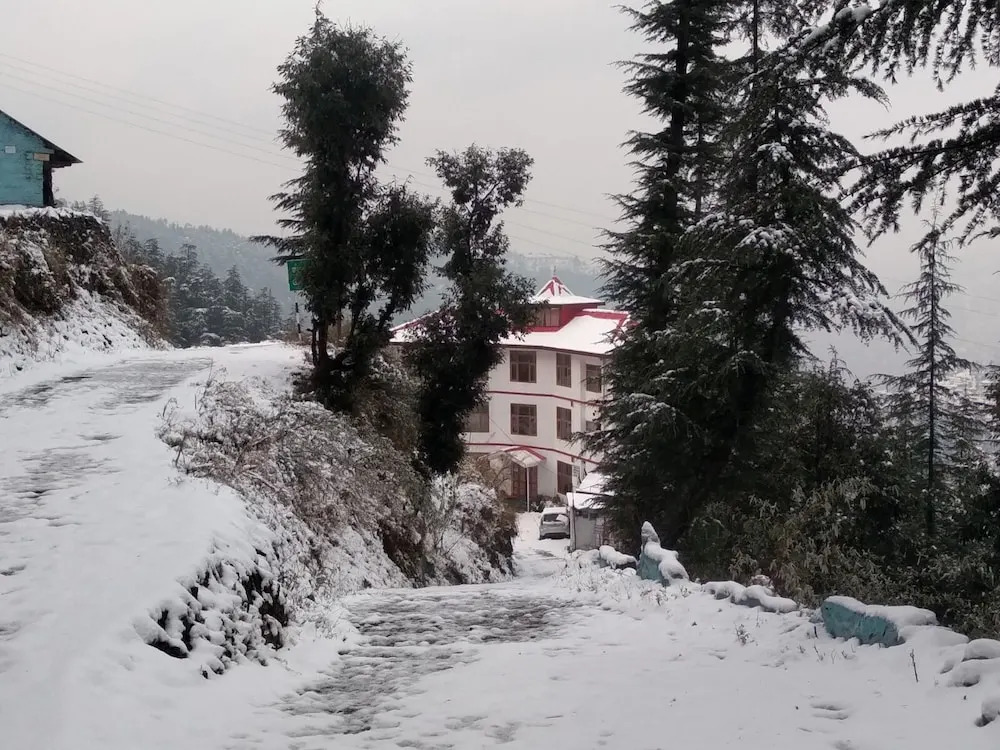 The Jungle Story - Shimla | By Headquarter