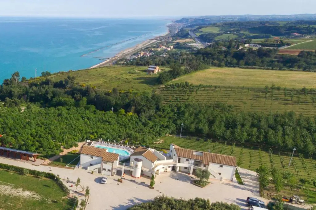 CONTEA DEI CILIEGI