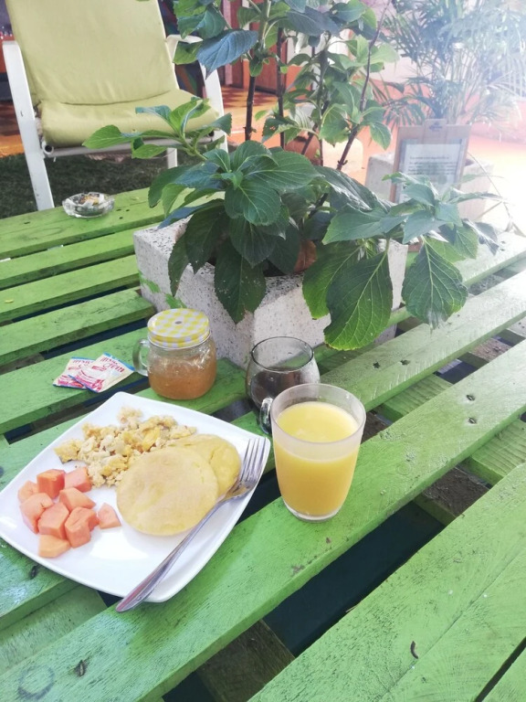 Tree House Hostel