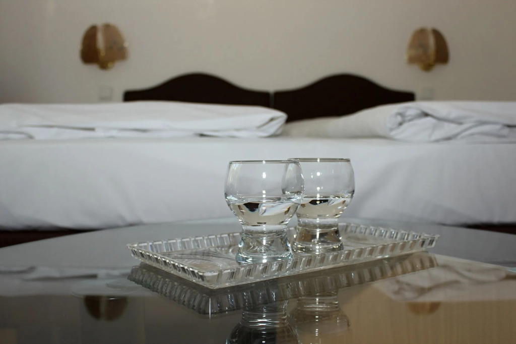Hotel Meran