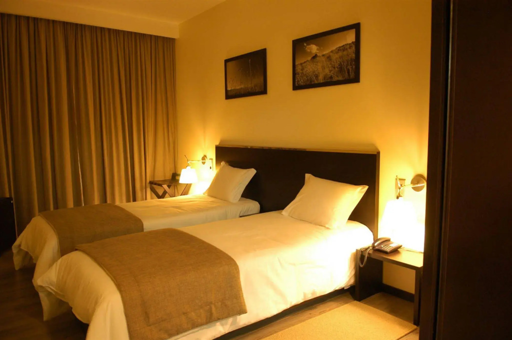 Hotel Sao Pedro - Arouca