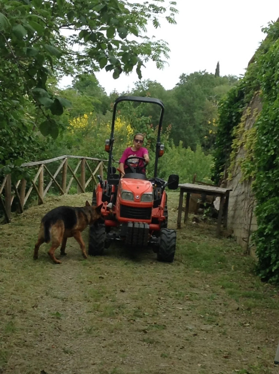 Azienda Agraria La Casella