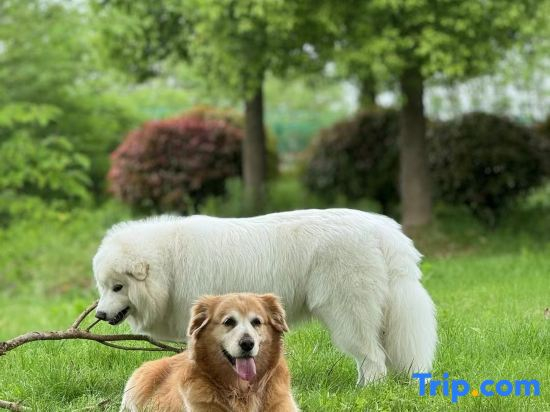 City Express Hotel (Biwako Yingbin Avenue Branch)