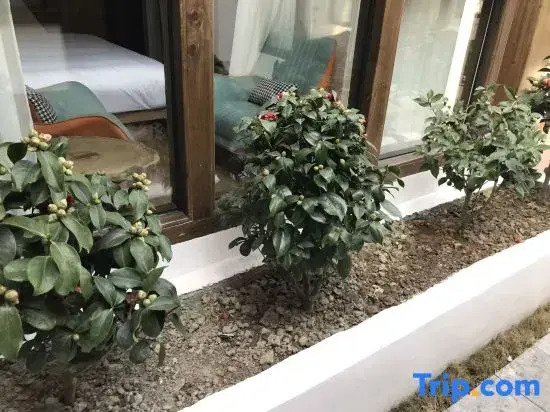 Washu Loft Courtyard (Zhangjiajie Tianmen Mountain Cableway Station Branch)