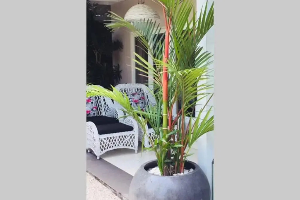 Villa Bloom 4 - 2 King bedrooms and 1 Bunk Room , private pool, sleeps up to 8