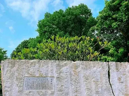Zhongshan shanhaiju apartment