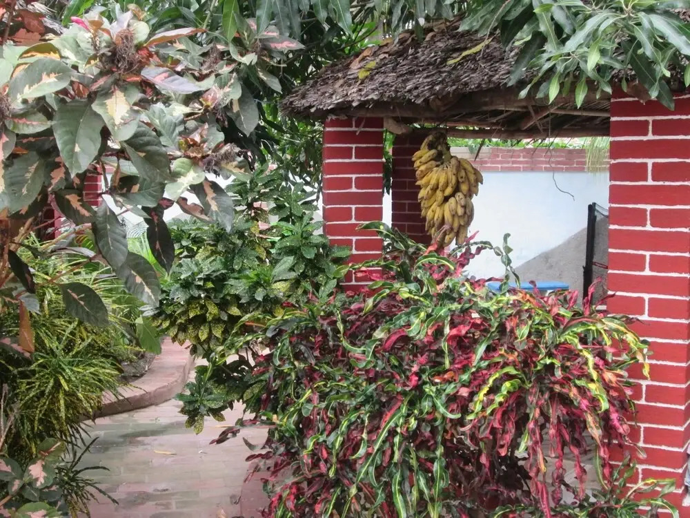 Casa do Sergio y Lesly