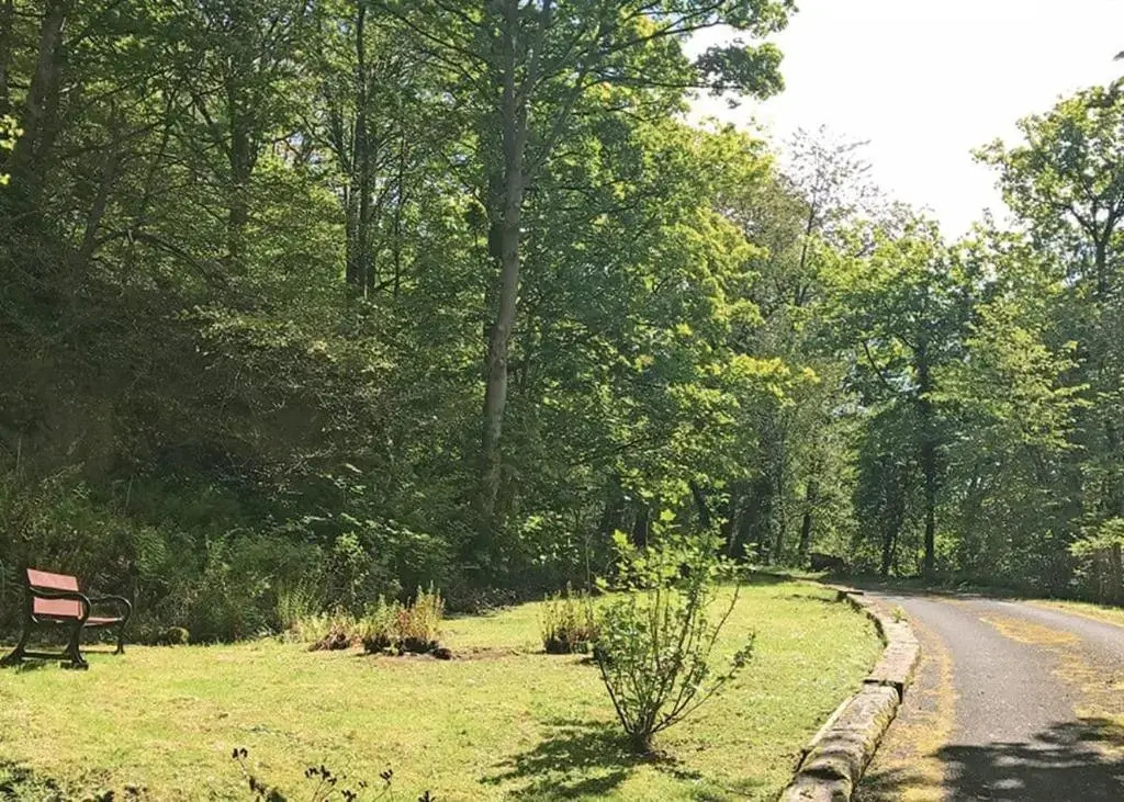 Hideaway Lodges
